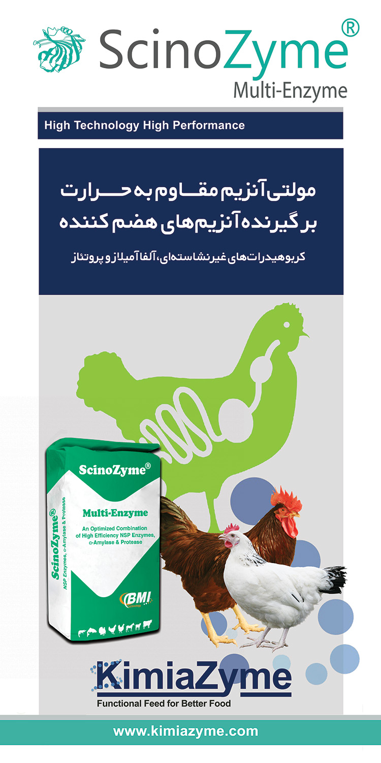 طراحی بسته بندی کیمیازیم توسط رهام