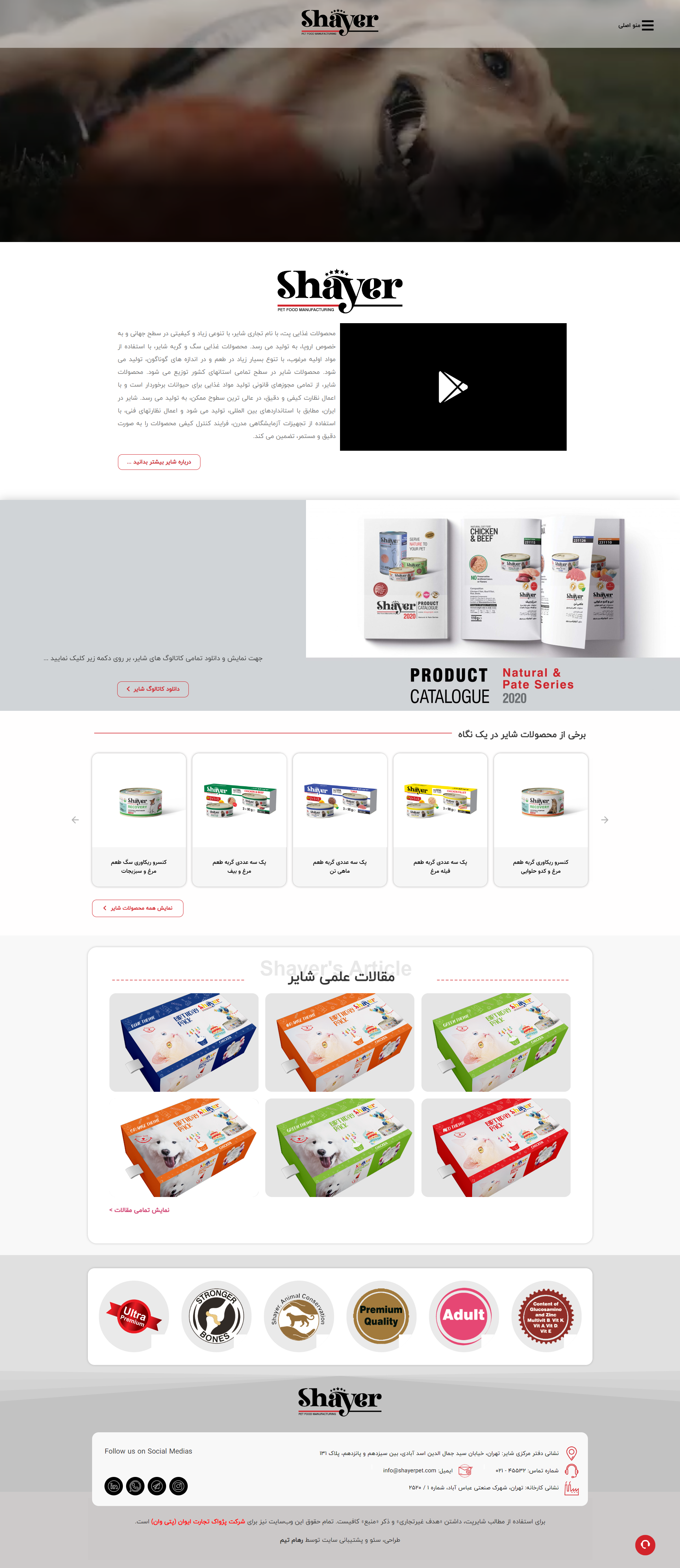 خدمات طراحی سایت فروشگاهی رهام