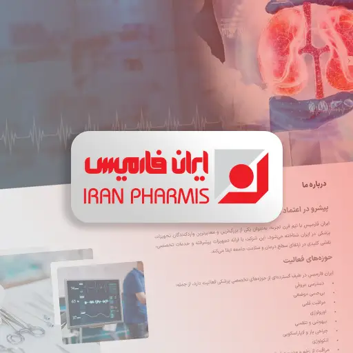 سئو حرفه ای سایت با رهام